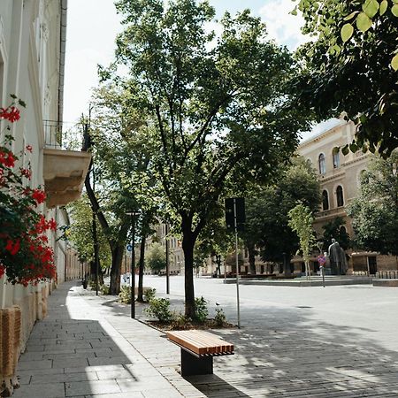 Contessa Apartment Cluj Napoca Kültér fotó