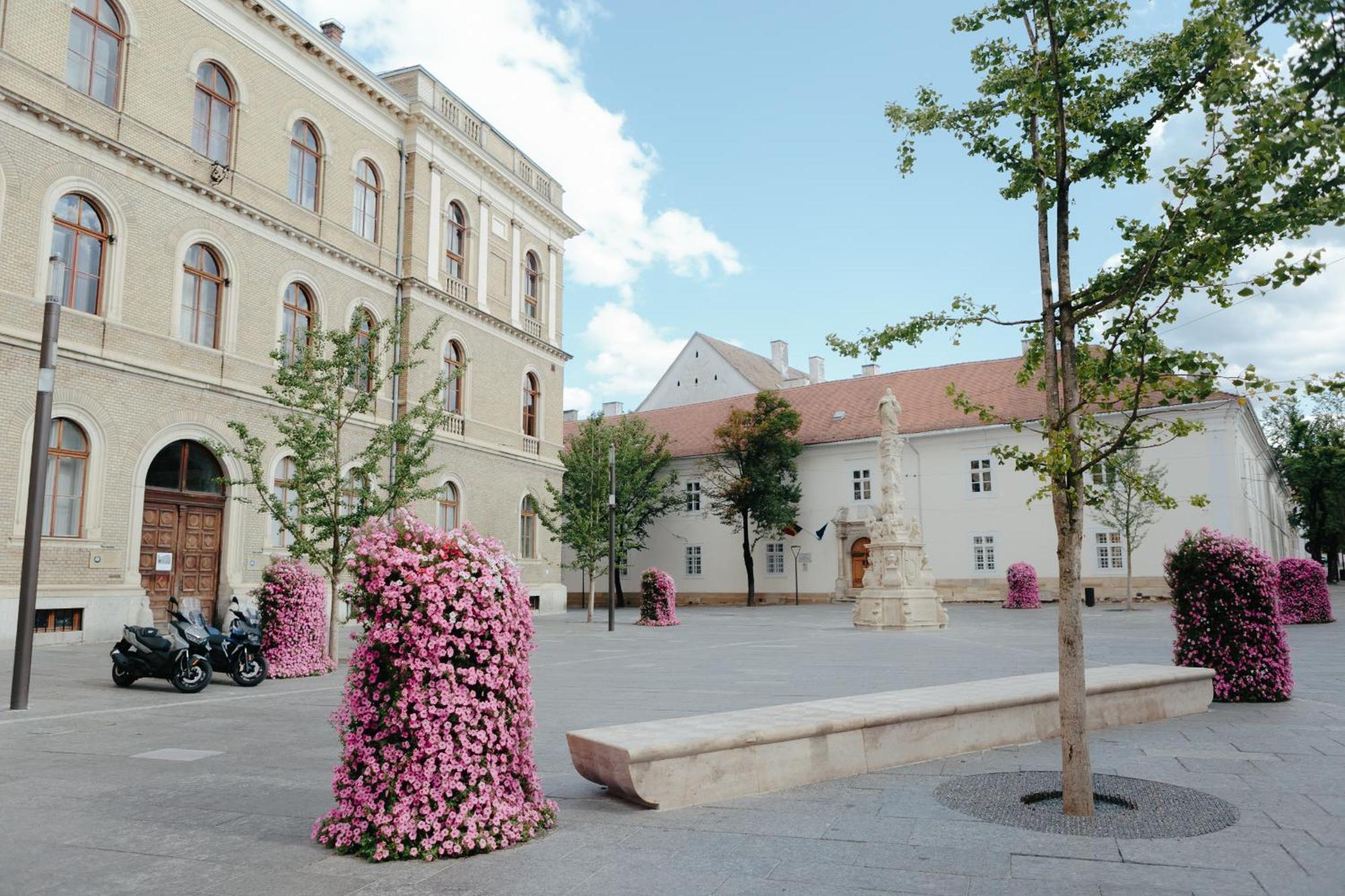 Contessa Apartment Cluj Napoca Kültér fotó