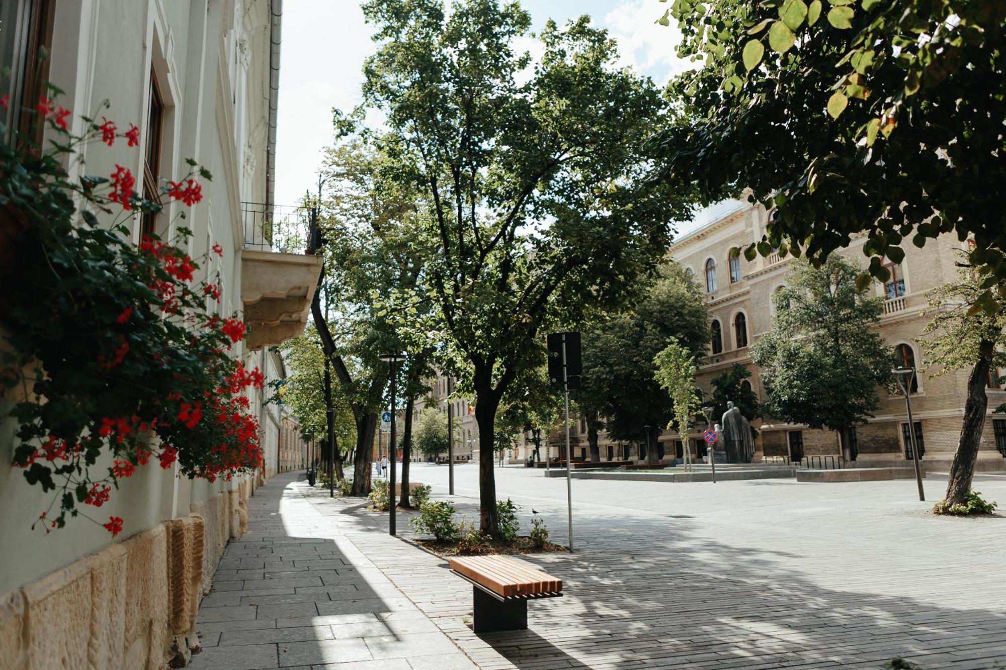 Contessa Apartment Cluj Napoca Kültér fotó