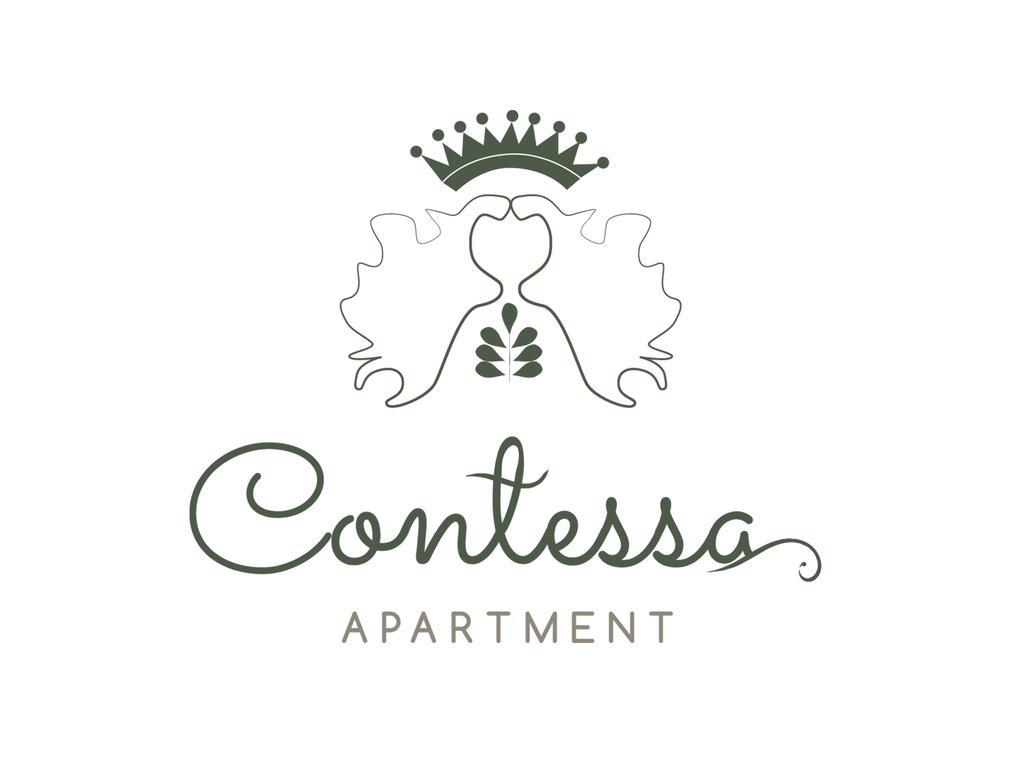 Contessa Apartment Cluj Napoca Kültér fotó